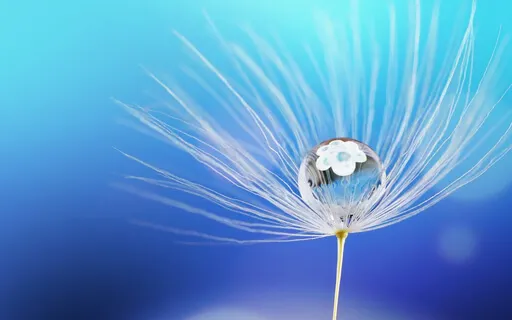 Finding Relief From Foot Pain Meditation