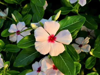 Finding Resilience In The Midst Of Uncertainty