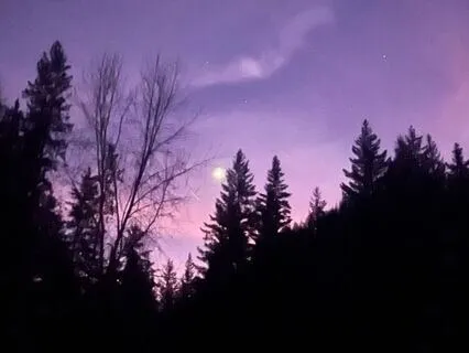 Finding Safety In Your Body: A Breathwork Meditation