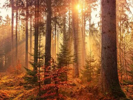 Find Safety In The Body – Somatic Practice For Anxiety