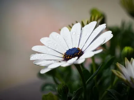 Finding Safety In The Body