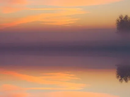 Finding Safety In Uncertain Times - Mini-Lesson & Practice