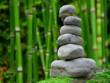 Finding Safety Within Change
