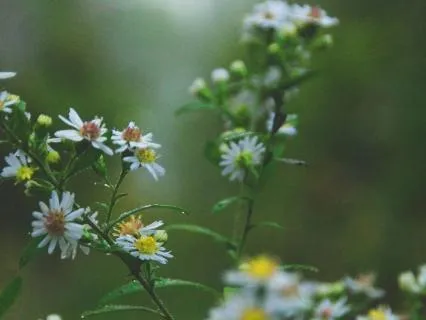 Finding Safety Within Uncertainty