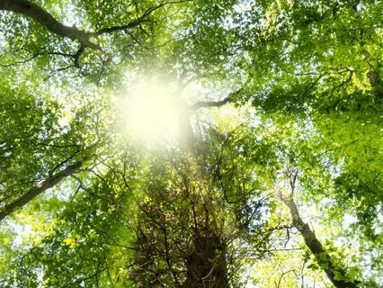 Finding Safety Within (You Are Safe)