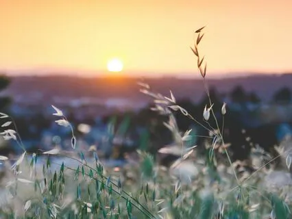 Finding Safety Within