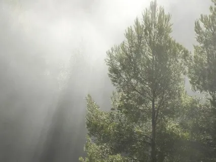 Finding Self-Compassion in Difficult Situations