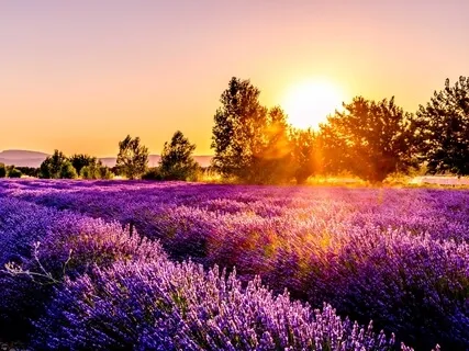 Finding Self Confidence To Manifest Your Dreams