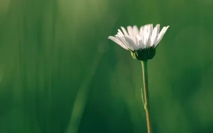 Finding Small Moments Of Being Brave