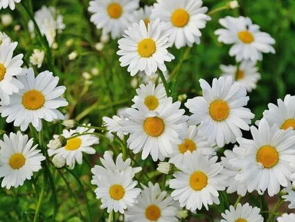 Finding Solace And Connection After Traumatic Loss