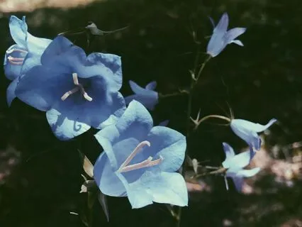 For When You Need To Breathe - Finding Space To Heal