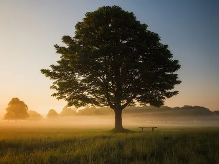Finding Stability In Your Breath