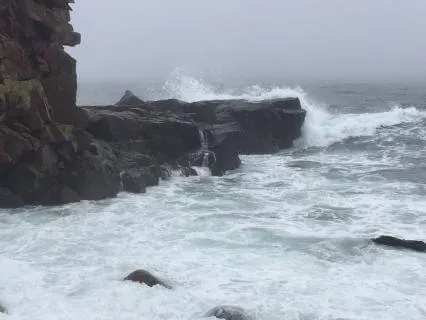 Finding Steadiness Amid Political Unrest