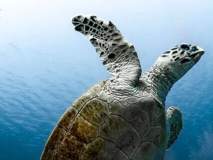 Finding Steadiness When Life Is Unclear