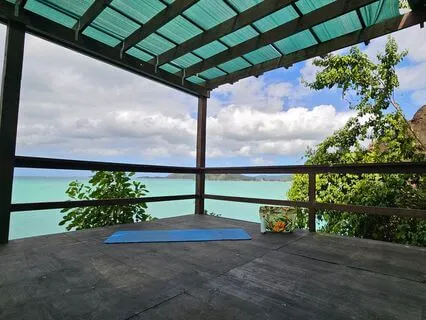 Finding Stillness: A Gentle Pause For Mindfulness