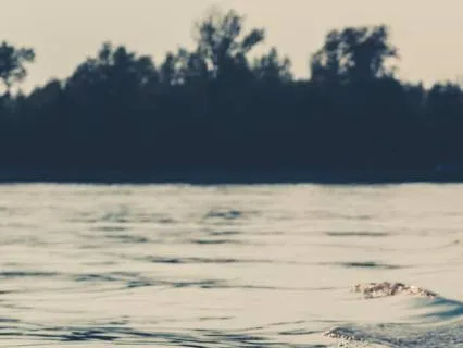 Finding Stillness Beneath The Noise