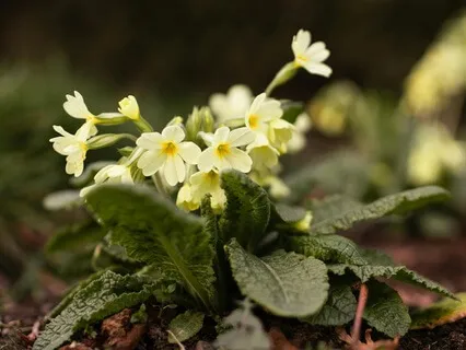 Finding Stillness Beyond Success - February 17