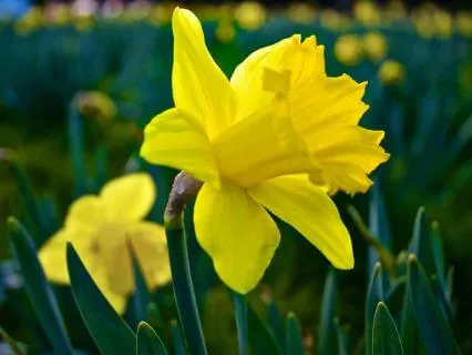 Finding Stillness From The Inside Out - March 23