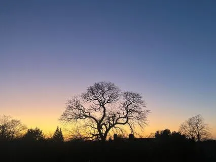 Finding Stillness In A Busy Mind