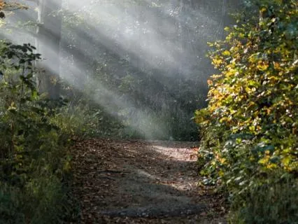 Finding Stillness In A Frantic World
