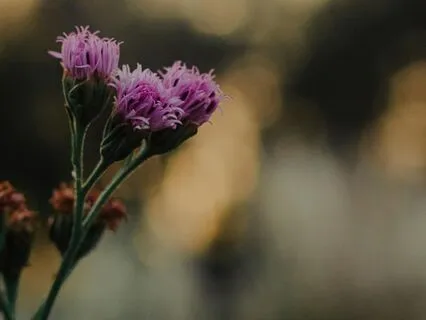 Finding Stillness In A Noisy World