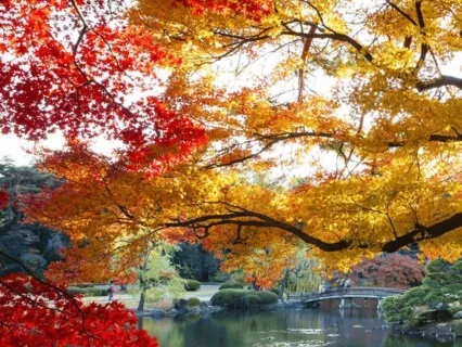 Finding Stillness | Leaf On A River