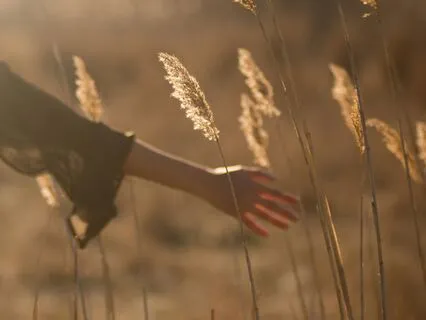 Finding Stillness Through Pausing