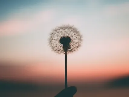 Finding Stillness Within