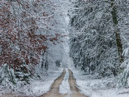 Finding Stillness Within - Winter Meditation