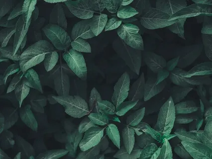 Finding Strength And Softness