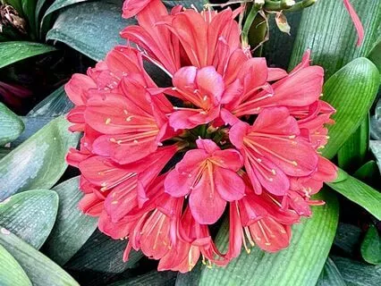 Finding Strength In Emotional Vulnerability Affirmations