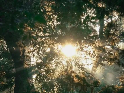 Finding Strength In Softness