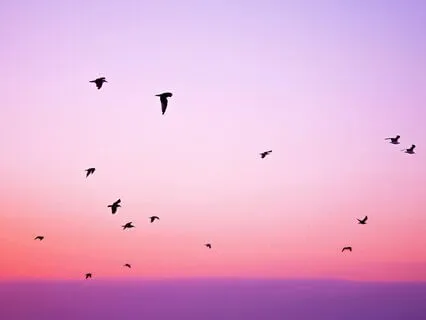 Finding Strength Through Compassion