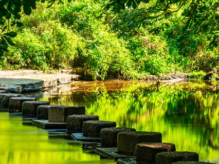 Finding Success Guided Meditation