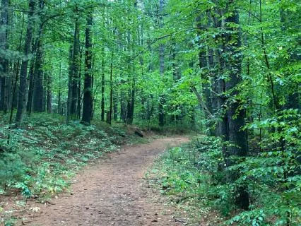 Finding Support Circle For Depression And Grief