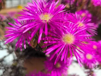 Finding Support In That Place Within Loving-Kindness