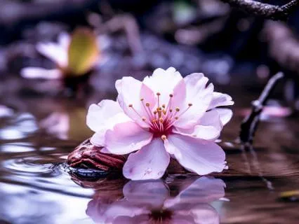 Finding The Beauty