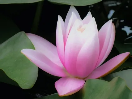 Finding The Confidence To Live Our Truth & Find Our Purpose