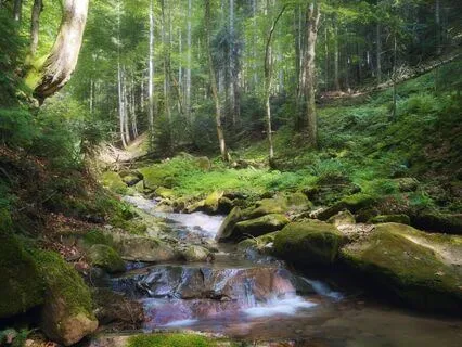 Finding The Present Moment