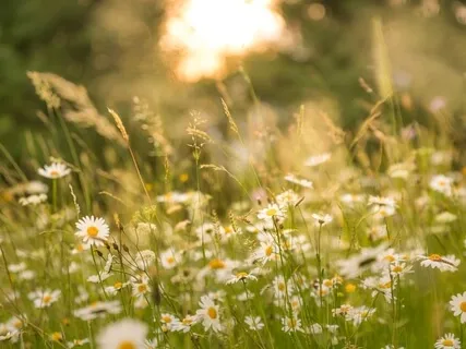 Finding The Real You