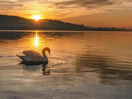 Finding The Sacred In Everyday Moments