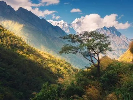 Finding The Strength To Overcome Challenges