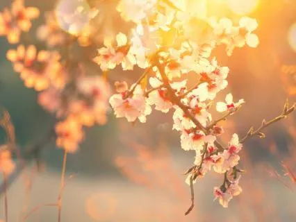 Finding The True Joy Of Your Body In Nature