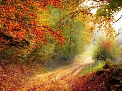 Finding The True Meaning Of Challenges Or Ease On Your Path 