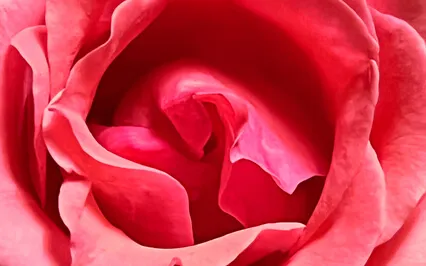 Finding True Meaning In Life