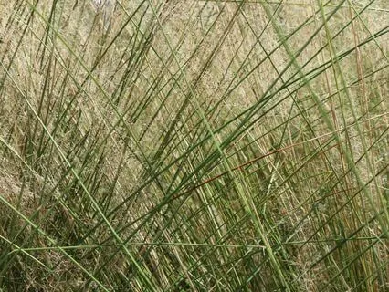 Finding True Rest (Piano Improvisation)