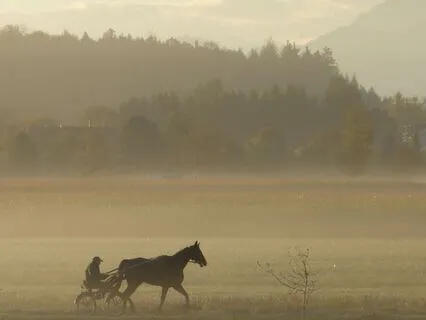 Finding Work Life Balance