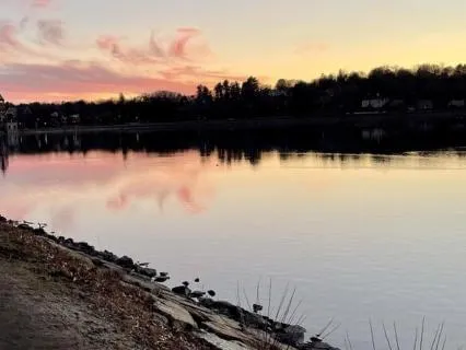 Finding Your Anchor Beginner Meditation