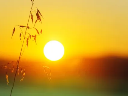 Finding Your Answers -10 Minute Daily Insight