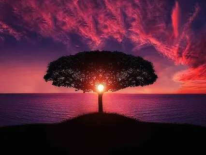 Finding Your Authentic Self Meditation